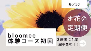 ㊶【サブスク】①お花の定期便♪ブルーミー500円の体験コースを初回無料で頼んだのが届きました！(#まったり動画ブログ)126