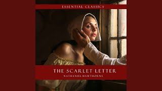 Chapter 24.10 - The Scarlet Letter