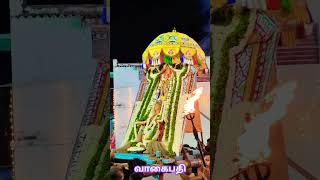 (19-3-24) #மாசி நிறை ஞாயிறு திருவிழா #வாகைபதி #அய்யா #ஆதிநாராயண_வைகுண்டர் #கருடன் வாகன #அழகு பவனி