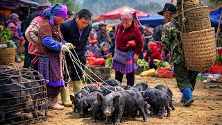 CHỢ VÙNG CAO - LÙNG PHÌNH (lào cai P2) | Ẩm Thực Hấp Dẫn, Lợn Đen Bản Địa Và Nông Sản Thảo Dược Quý