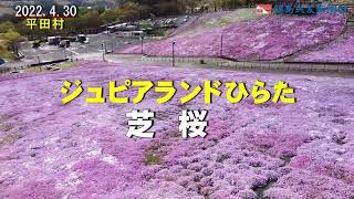 ジュピアランドひらたの芝桜