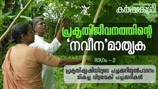 പ്രകൃതിജീവനത്തിന്റെ നവീനമാതൃക | Part 2 | പച്ചക്കറികളെ അടുത്തറിയാൻ കൃഷിയിടയാത്ര