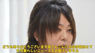 【野球】「球界の守護神・益田直也の息子が『はじめてのおつかい』に挑戦！可愛い姿にファン歓喜」 #益田直也, #はじめてのおつかい, #千葉ロッテマリーンズ