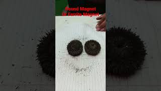 Round magnet Poles || Magnetic effect of electric current class 10 #shorts #scienceexperiment