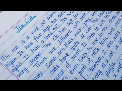 How do you write an essay for a cat?