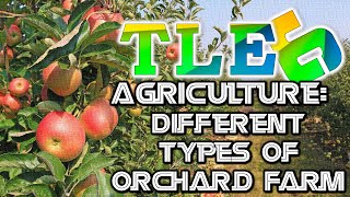 TLE 6 Ag - Different Types of Orchard Farm