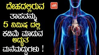 ದೇಹದಲ್ಲಿರುವ ತಾಪವನ್ನು 5 ನಿಮಿಷ ದಲ್ಲಿ ಕಡಿಮೆ ಮಾಡುವ ಅದ್ಭುತ ಮನೆಮದ್ದುಗಳು ! || Reduce Body Heat Naturally