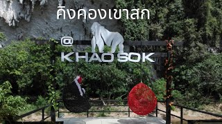 คิงคองเขาสก สุราษฎร์ธานี King Kong Khaosok