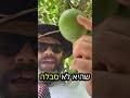 כשרות לא מה שחשבתם או ידעתם