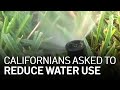 Governor Asks Californians to Voluntarily Cut Water Use