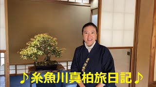 糸魚川真柏旅日記♪The trip in pursuit of Japanese juniper \