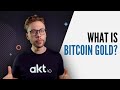 What is Bitcoin Gold?