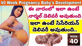 గర్భం 40వ వారం | 40th Week of Pregnancy Symptoms Changes \u0026 Baby Development | 40th Week of Pregnancy