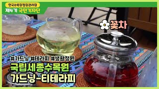 [제4기국민기자단] 국립세종수목원 -가드닝.티테라피🌺