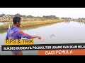 SUKSES BUDIDAYA POLIKULTUR UDANG VANAME DAN IKAN NILA DI TAMBAK TRADISIONAL #aabvaname57 #shrimp