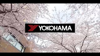 4K VR with YOKOHAMA TIRE【TOKYO Cherry Blossoms Driving】