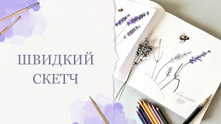 Кольоровий скетч | Лаванда і джміль | Уроки малювання для початківців