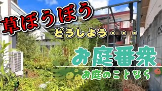 【お庭番衆】雑草を刈り尽くします！