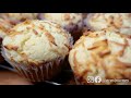 easy homemade cheese cupcake recipe