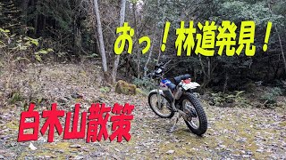 白木山を散策してたら林道見つけたよ【昭和の2スト・オフロードバイクで山散歩＃30】