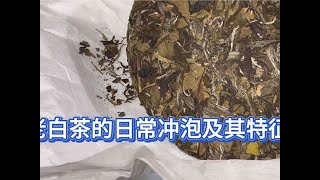 老白茶的日常冲泡及其特征