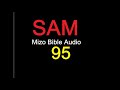 SAM 95 na [Mizo Bibile Audio]