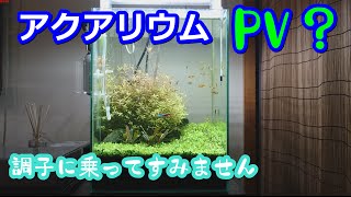 【アクアリウム】PV？次回予告！！