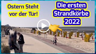 THE SAME PROCEDURE AS EVERY YEAR!😁 CUXHAVEN - DÖSE / STRAND / KUGELBAKE 22.03.2022