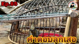 เสียงนกดอกแตงEp.85 ลูกเสอดอกแตงจะต่อได้ไหม มาดูกัน (Stripe-throated Bulbul)