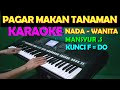 PAGAR MAKAN TANAMAN - KARAOKE NADA WANITA