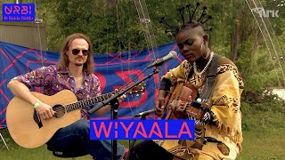 Wiyaala Performs For NRK TV at Riddu Riddu Festival Norway