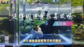 水榕造景您喜欢吗？它是怎么做的