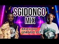 Sgidongo Mix 2026 | Lowbass Djy | Nkulee501 | By Babza Da J #amapiano #mix 