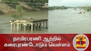 தாமிரபரணி ஆற்றில் கரைபுரண்டோடும் வெள்ளம் | Thamirabarani River | Flood | ThanthiTv