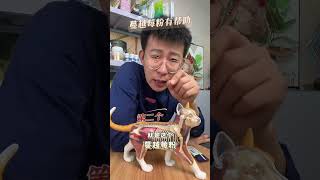 猫咪尿闭为什么反反复复原因在这 猫咪尿闭为什么反反复复原因在这养猫经验分享 养猫人 猫咪尿闭 猫咪尿闭反复 尿闭