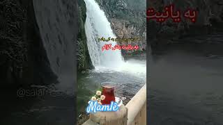 #mamle #mahabad #کوردستان #music #ماملێ #kurdistan #مهاباد #سابلاغ