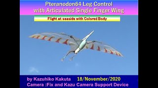 翼竜型羽ばたき機　プテラノドン　Pteranodon64LC：Flight at seaside with Colored Body