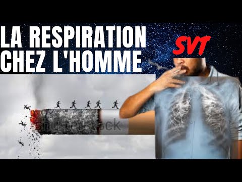 Cours_Complet_SVT_3ième//LA RESPIRATION CHEZ L’ESPÈCE HUMAINE//M ...