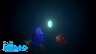 A Hungry Anglerfish | Finding Nemo | Disney Channel UK