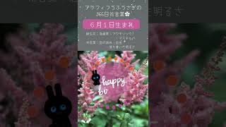 アラフィフうふうさぎ366日花言葉🌻自分へ！大切な人へのプレゼント選びの参考に🌷#花言葉  #誕生花  #雑学  #花言葉シリーズ🌹  #366日誕生花  #voicevox  #冥鳴ひまり