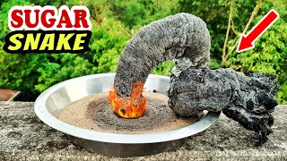 Amazing Science Experiment With Sugar || Black Fire Snake Experiment