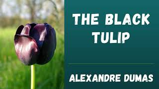 The Black Tulip, by Alexandre Dumas 🎧 Full Audiobook