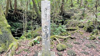 山梨県富士河口湖町【竜宮洞穴】041009