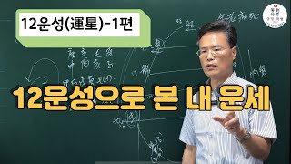 12운성(1편)-12운성으로 본 내 운세