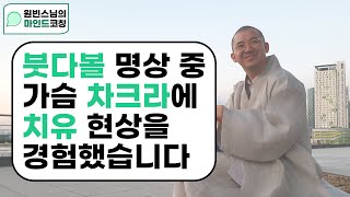 붓다볼 명상 중 가슴 차크라에 치유 현상을 경험했습니다 [마인드코칭]