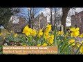 St Albans Cathedral | Choral Eucharist for Easter Sunday