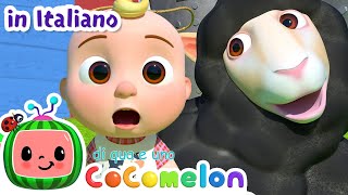 Baa Baa pecora nera | CoComelon Italiano - Canzoni per Bambini