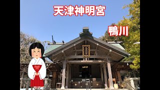 【神社】天津神明宮【御朱印】