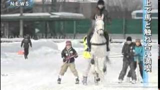 雪上で馬と触れ合い満喫　札幌で初の冬馬まつり