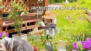 【癒し】ガーデニング|60代|心と体を整える|若活生活|vlog|ヘルシー料理|和ハーブ素麺